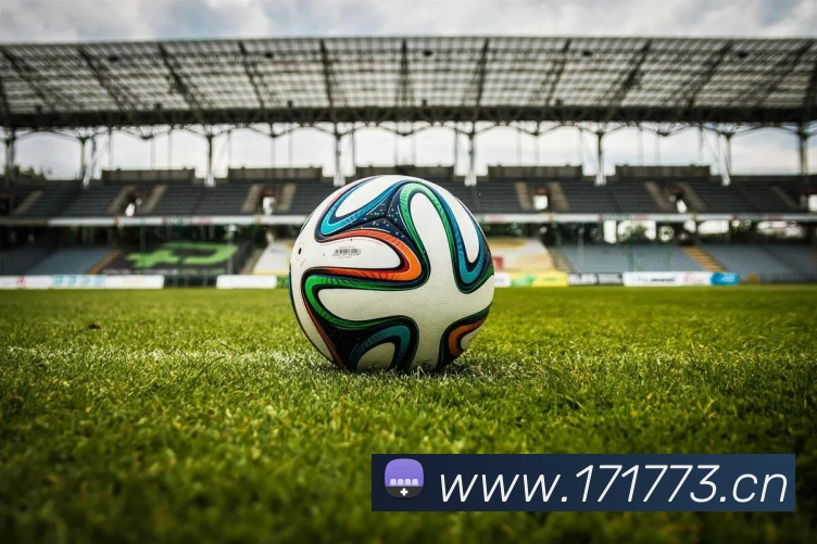 问鼎app网页版入口平台生态图